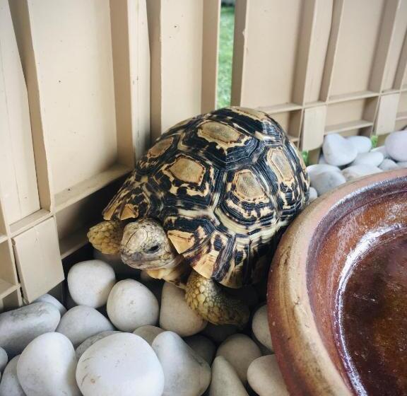 Hotel Durian Ecolodge