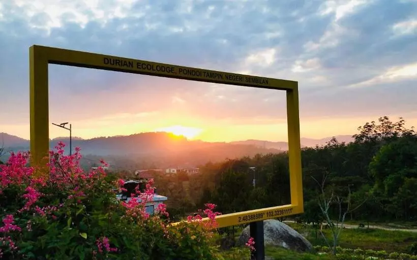 ホテル Durian Ecolodge