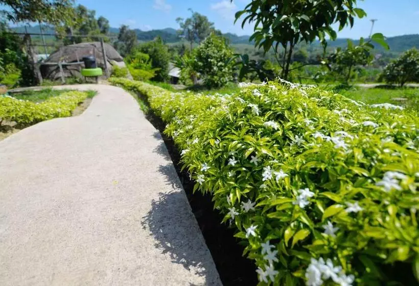 ホテル Durian Ecolodge