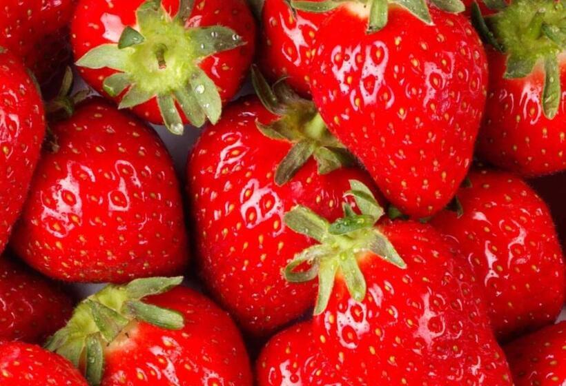 هتل Sahyadri Stud Farm And Resort