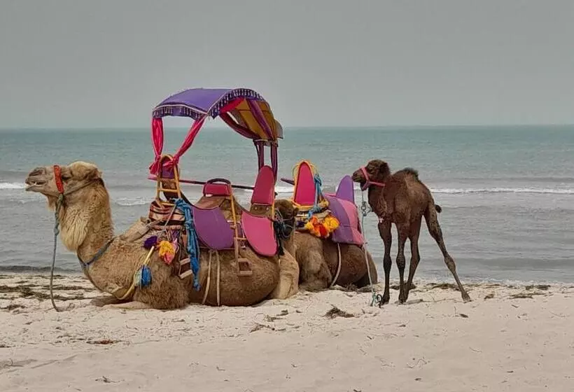 Majatalo Dar El Kahina Djerba