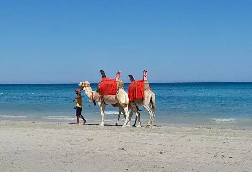 Majatalo Dar El Kahina Djerba