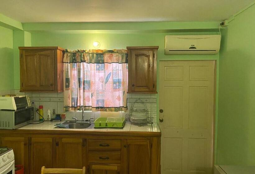 پانسیون Runnyaway Inn