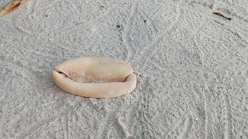 تختخواب و صبحانه Manta Sky Inn