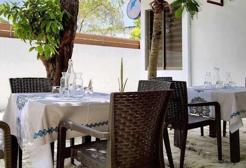 تختخواب و صبحانه Manta Sky Inn