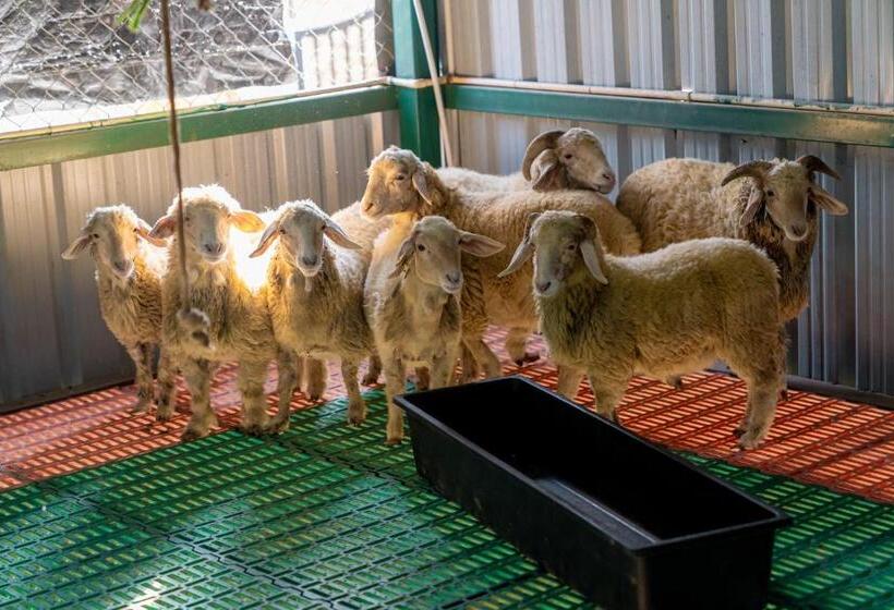 호텔 Abhishta Agri Farm Stay