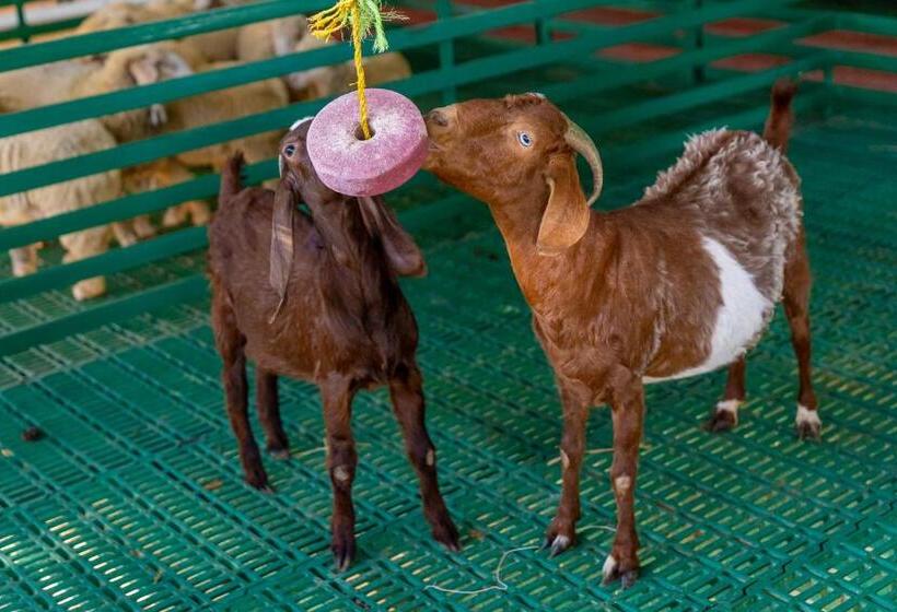 호텔 Abhishta Agri Farm Stay