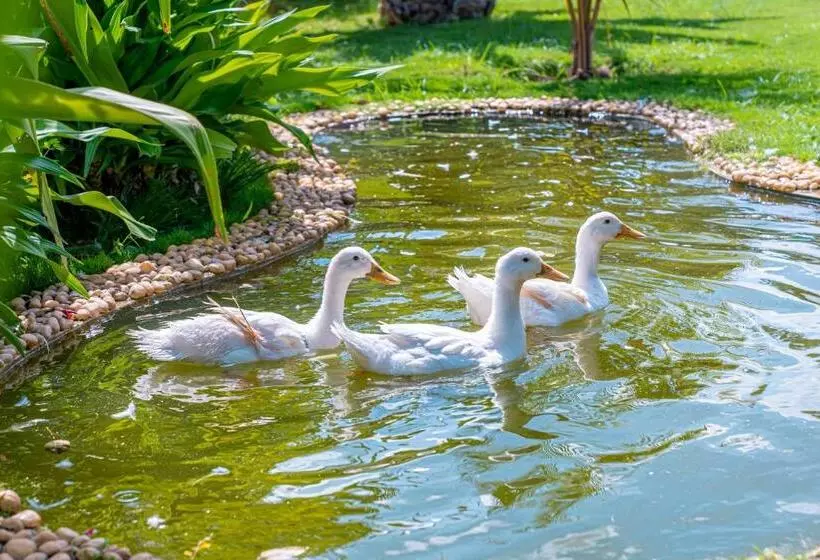 Hotelli Abhishta Agri Farm Stay