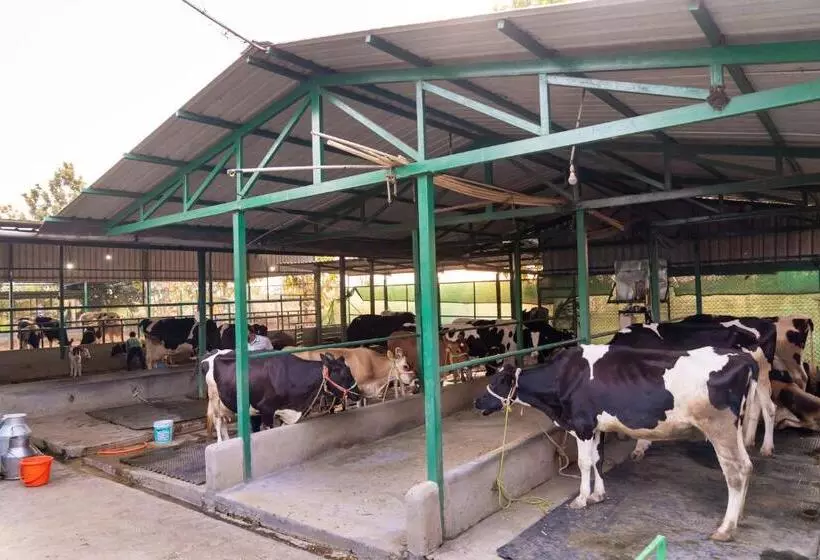 Hotelli Abhishta Agri Farm Stay