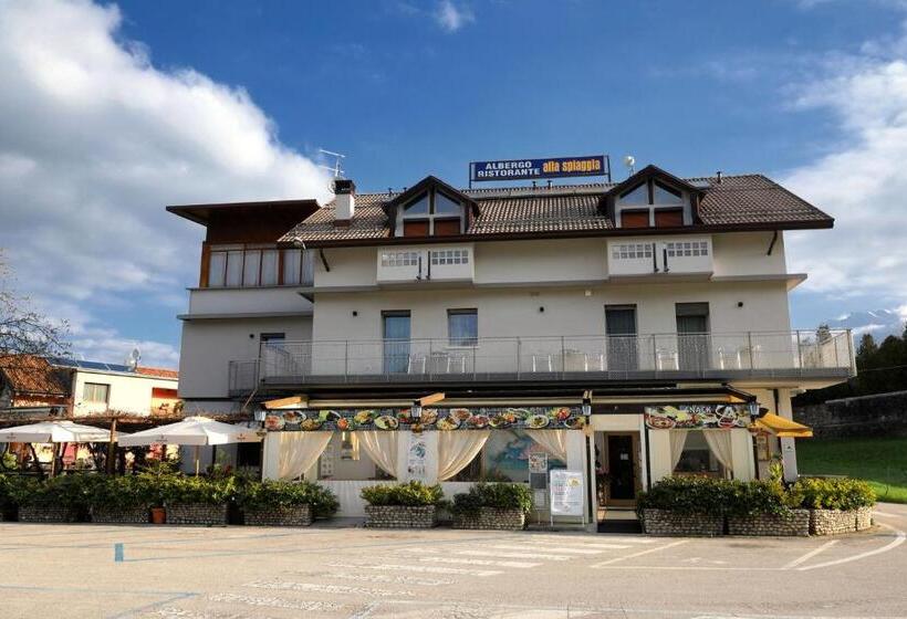 호텔 Albergo Alla Spiaggia