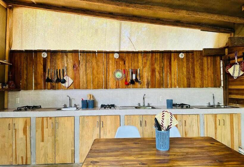 هتل Punta Nayaá   Adults Only