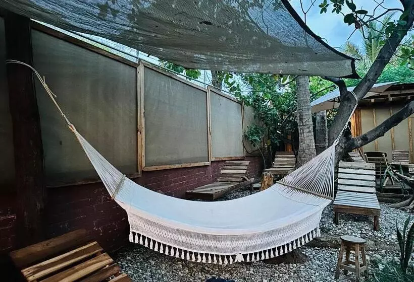 ホテル Punta Nayaá Adults Only