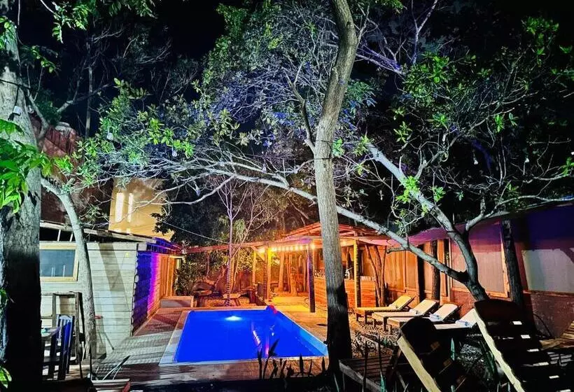 ホテル Punta Nayaá Adults Only