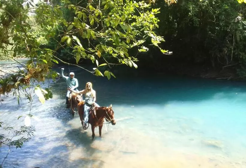 Hotelli Cabinas Río Frío
