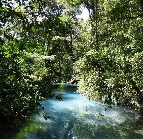 Hotelli Cabinas Río Frío