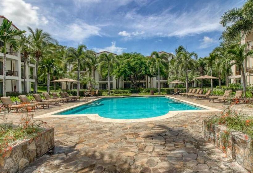 هتل Pacifico L801