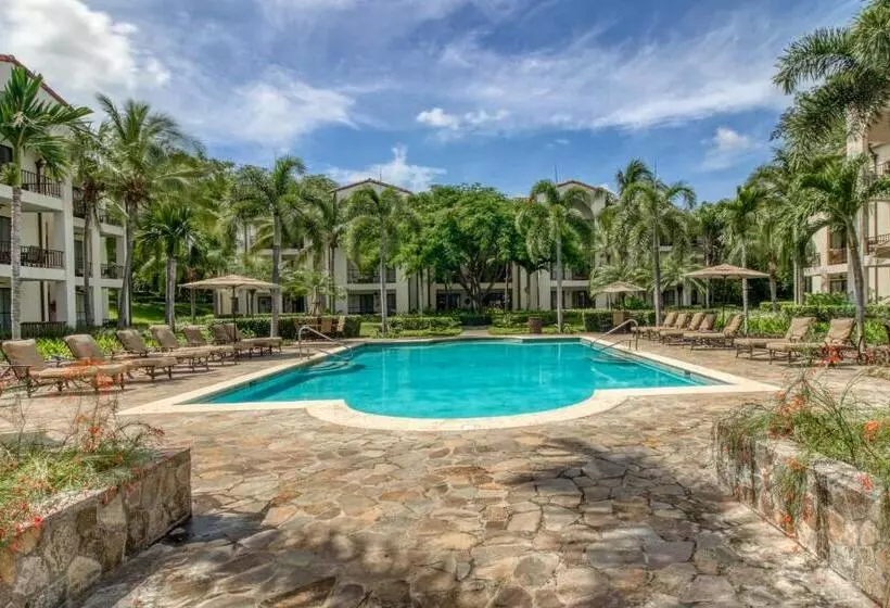 Hotelli Pacifico L801