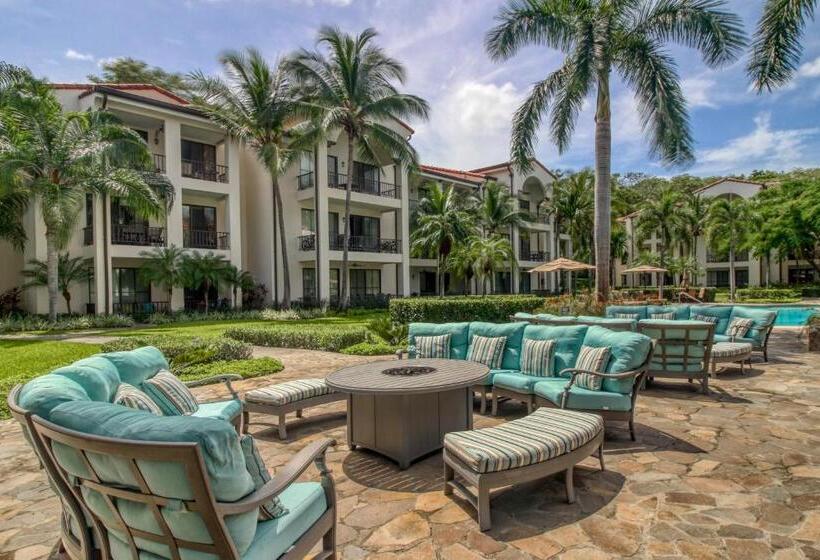 هتل Pacifico L801