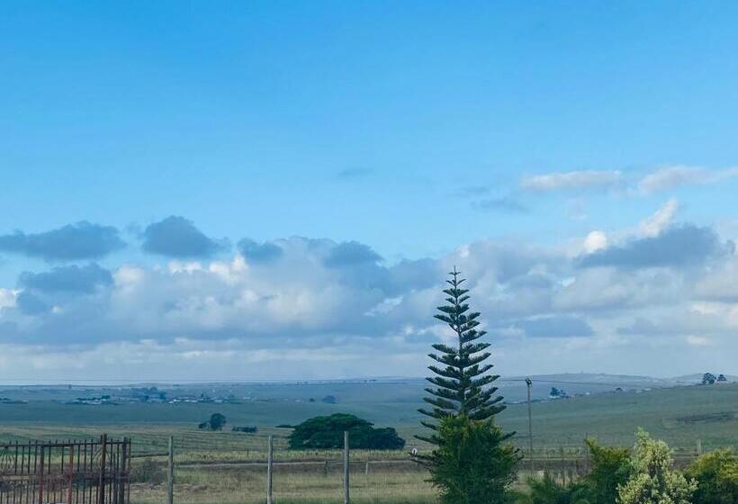 膳宿费 Datty Tatty