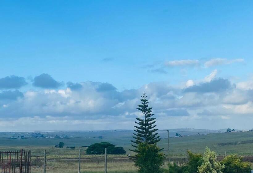 膳宿费 Datty Tatty