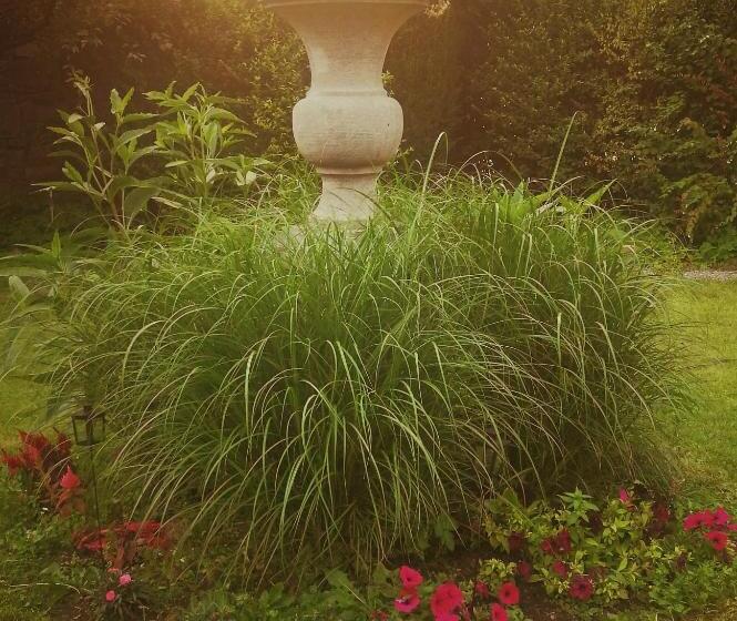 پانسیون Monsieur Michel