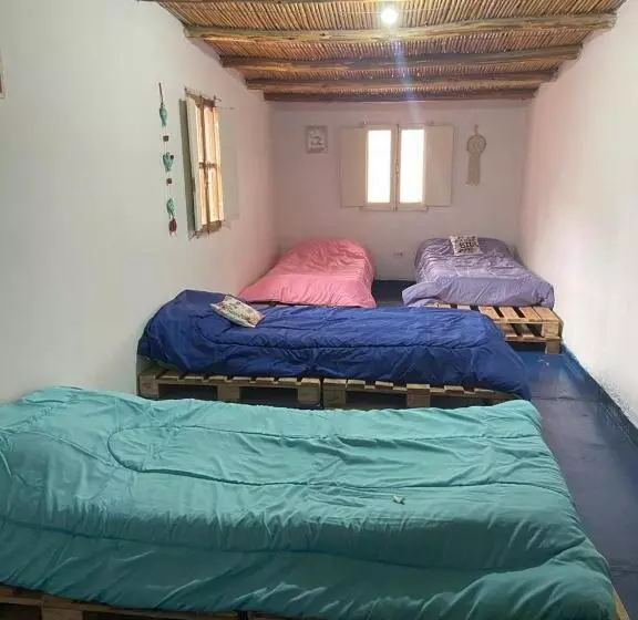 ペンション Pancha La Vida Hostel