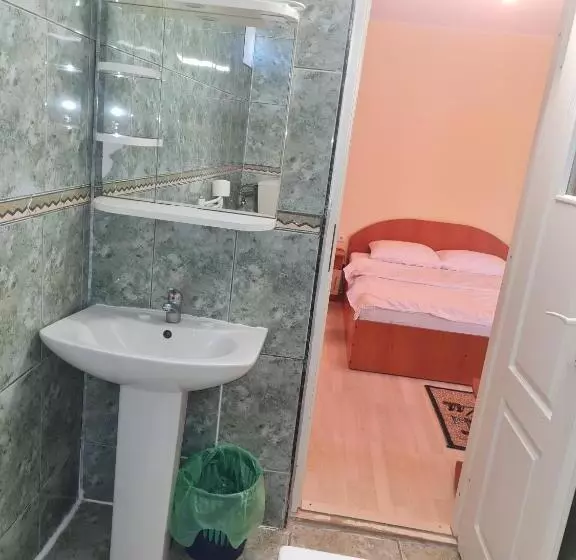 Pensione Vila Turistica Udrea
