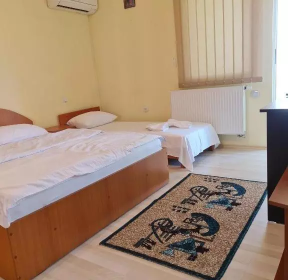 Pensione Vila Turistica Udrea