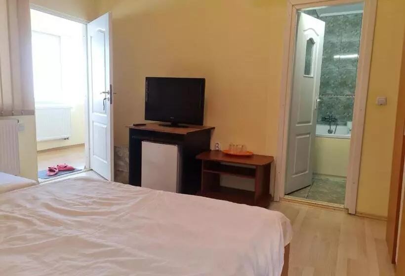 Pensione Vila Turistica Udrea