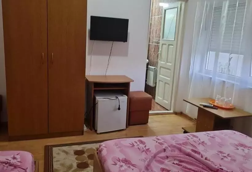 Pensione Vila Turistica Udrea