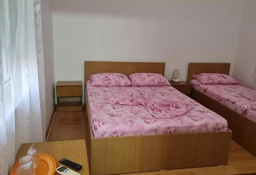 Pensione Vila Turistica Udrea