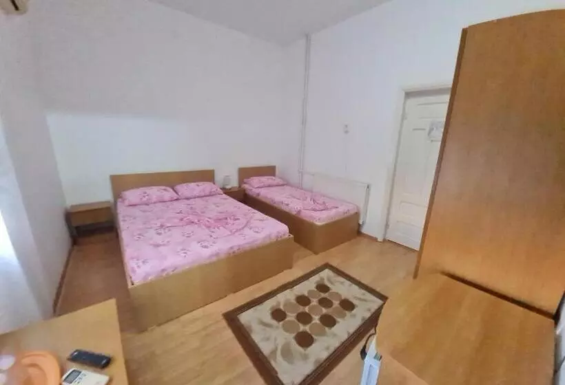 Pensione Vila Turistica Udrea