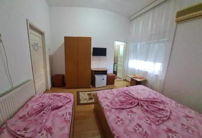 Pensione Vila Turistica Udrea