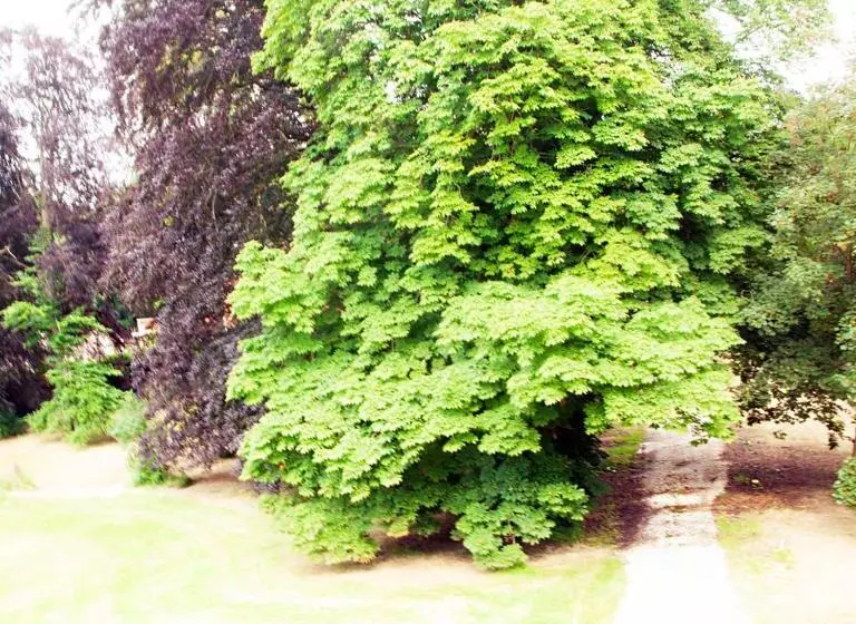 Hotelli Chateau Morreau