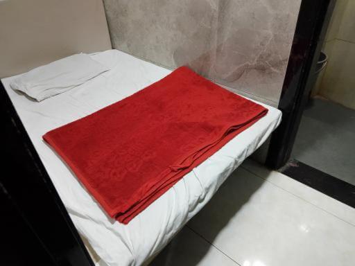 酒店 Green Park Ajmer