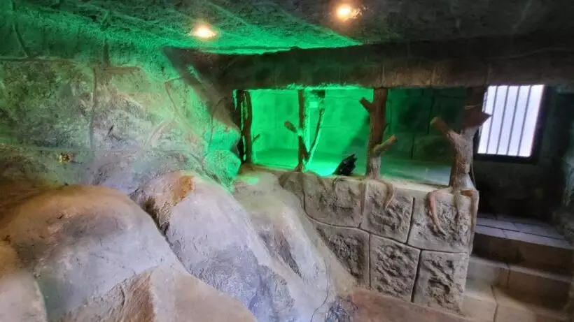 ペンション Cave Castle Panchalimedu