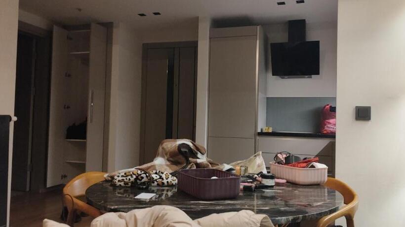 Bed and Breakfast Clarion Hotel Yan