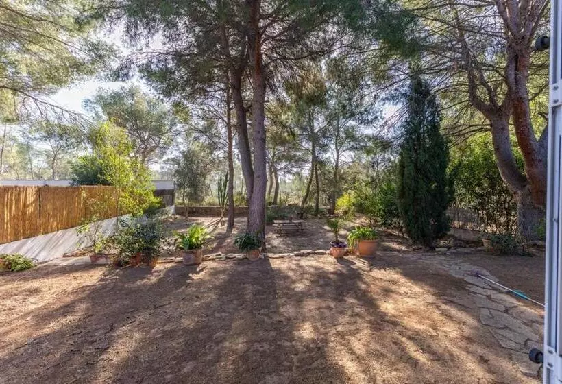 Aamiaismajoitus (B&B) Luxe Vista