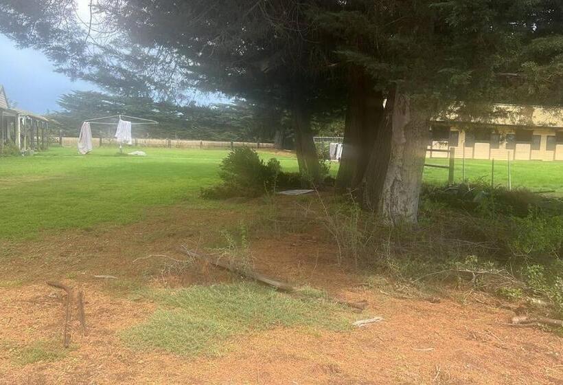 ホテル Cosy Homestead