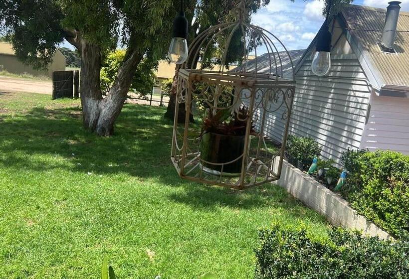 ホテル Cosy Homestead