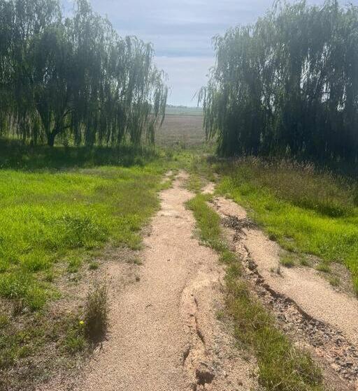 ホテル Cosy Homestead