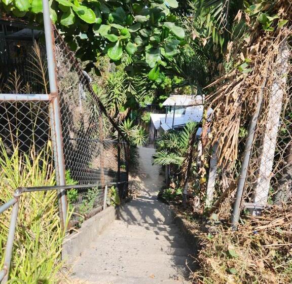 پانسیون Hadassah