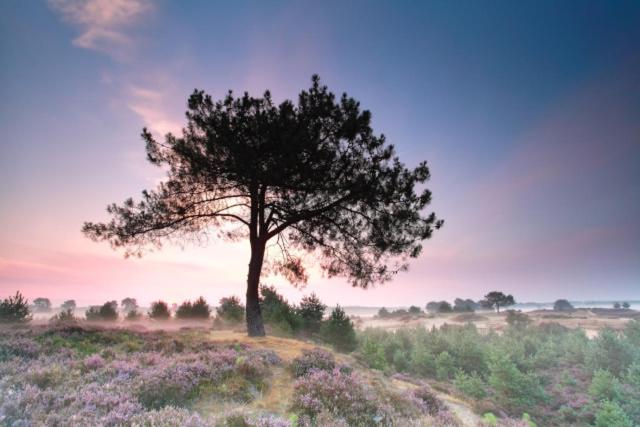 Bed & Breakfast Appartement D Ambacht