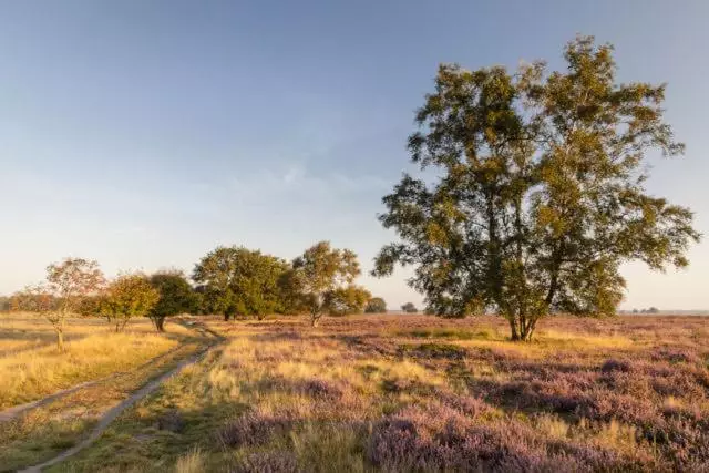 Bed & Breakfast   Appartement D Ambacht