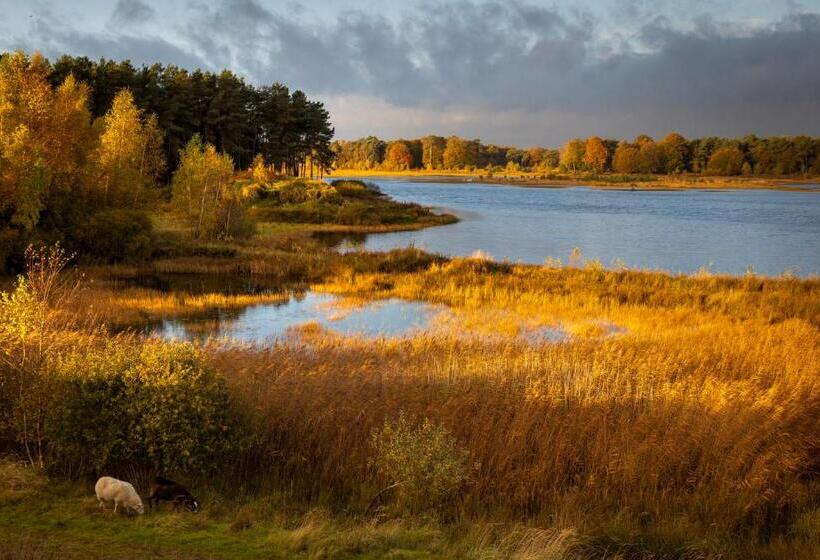 Bed & Breakfast Appartement D Ambacht