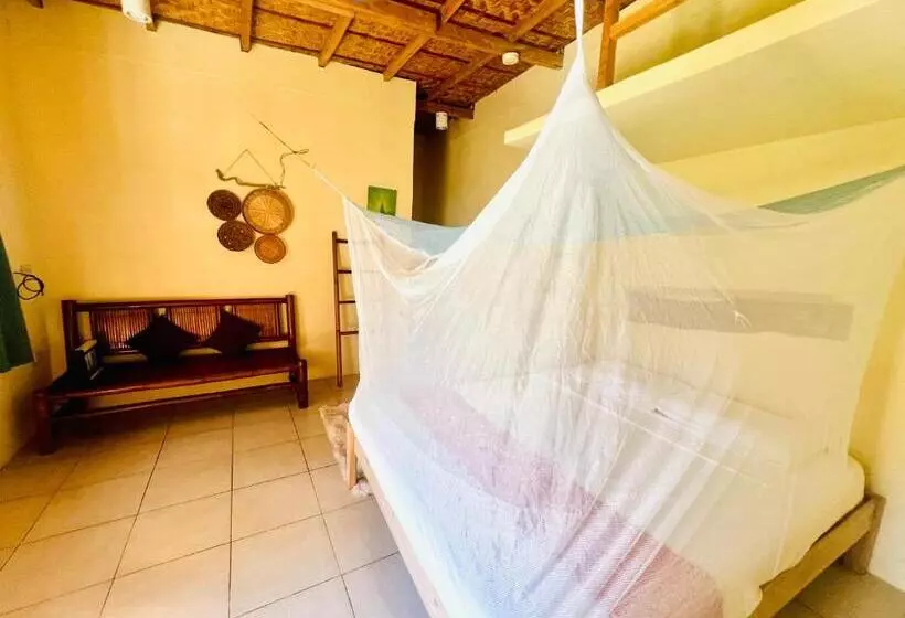 Boholala Hostel