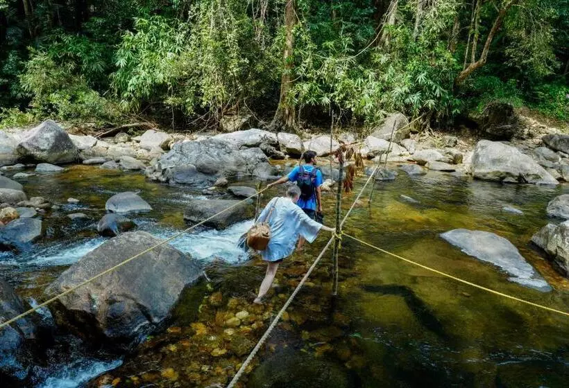 Hotelli The Forrest Inn