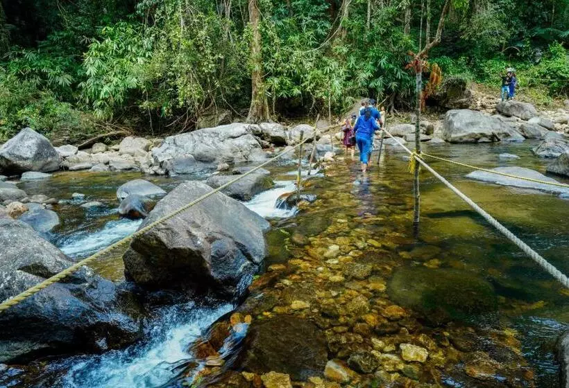 Hotelli The Forrest Inn