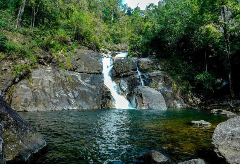 Hôtel The Forrest Inn