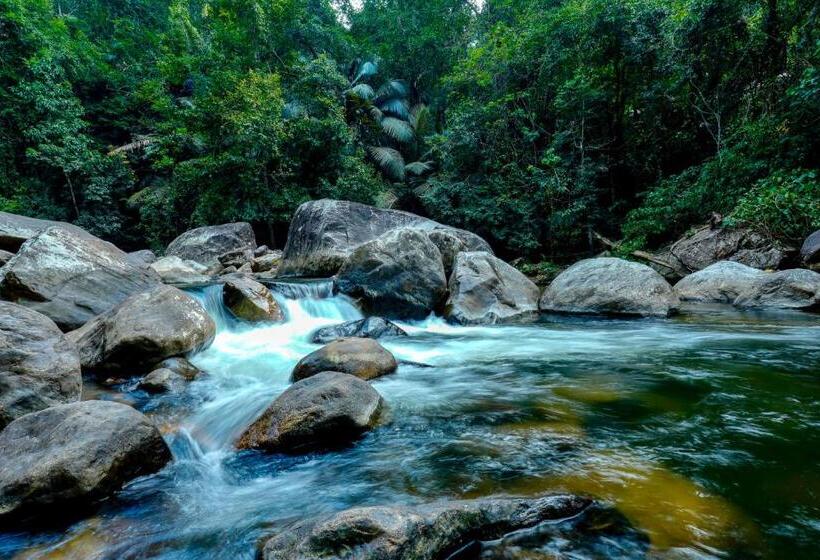 Hôtel The Forrest Inn